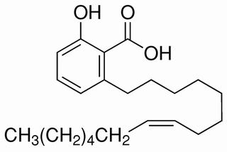白果酸（银杏酸C15:1）22910-60-7