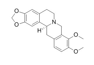 Canadine 四氢小檗碱 CAS:5096-57-1