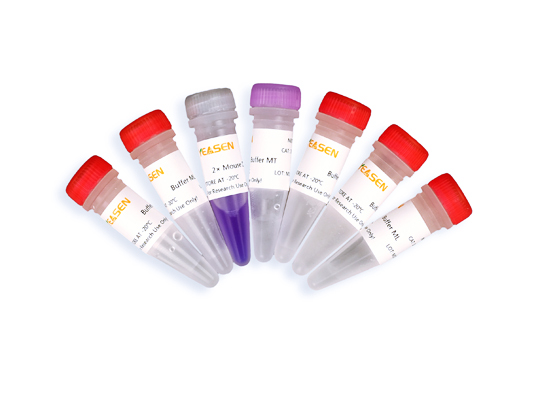 小鼠组织直接PCR试剂盒(含染料) Mouse Tissue Direct PCR Kit