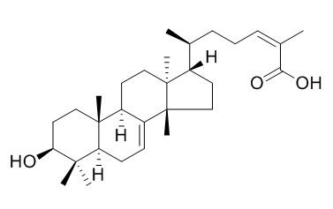 Masticadienolic acid 乳香二烯酮酸, 熏陆香二烯酮酸 CAS:472-30-0