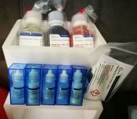 Cyanoditolyl Tetrazolium Chloride (CTC)