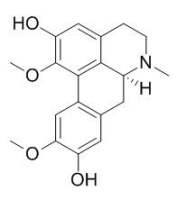Boldine 波尔定碱 CAS:476-70-0