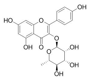 Afzelin 阿福豆苷 CAS:482-39-3
