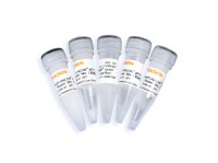 2×实时定量PCR扩增预混液 抗体法Low Rox(qPCR SYBR Green Master