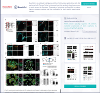 Invitrogen ZO-1 Monoclonal Antibody (ZO1-1A12)