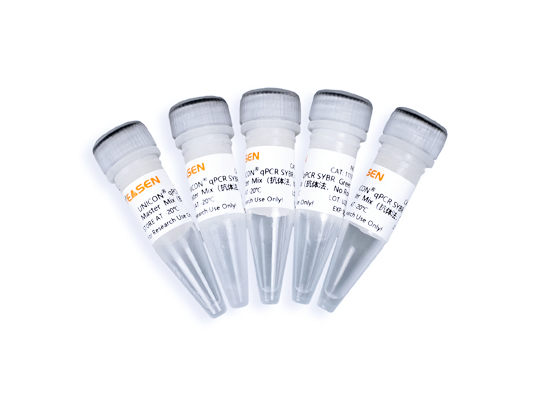 UNICON 2×实时荧光定量PCR扩增预混液(抗体法，无Rox)[可申请试用]
