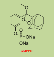 3-(2'-螺旋金刚烷)-4-甲氧基-4-(3''-磷酰氧基)苯-1,2-二氧杂环丁烷（AMPPD）