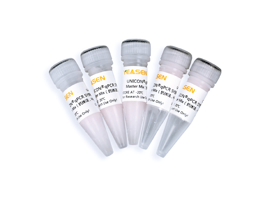 UNICON 2×实时荧光定量PCR扩增预混液 (抗体法，高Rox)[可申请试用]