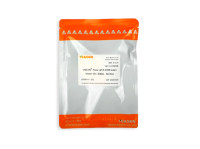 qPCR SYBR Green Master Mix(抗体法实时荧光定量PCR，No Rox)[可申请试用]