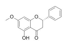 Pinostrobin 球松素； 乔松酮 CAS:480-37-5