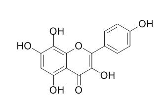 Herbacetin 草质素,蜀葵苷元, CAS:527-95-7