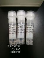 莱茵衣藻二脂酰甘油基转移酶多克隆抗体