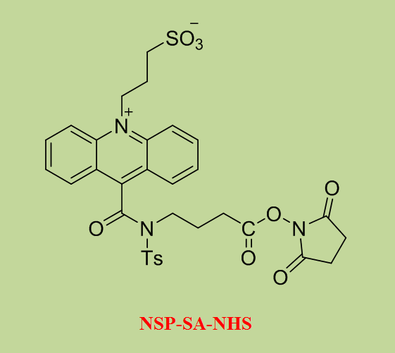 吖-啶盐（NSP-SA-NHS）