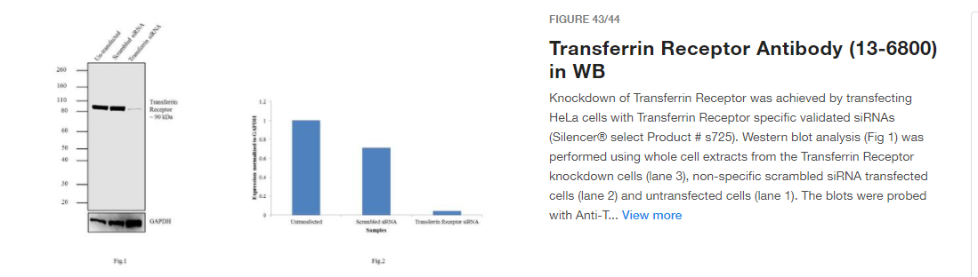Invitrogen Transferrin Receptor Monoclonal Antibody (H68.4)