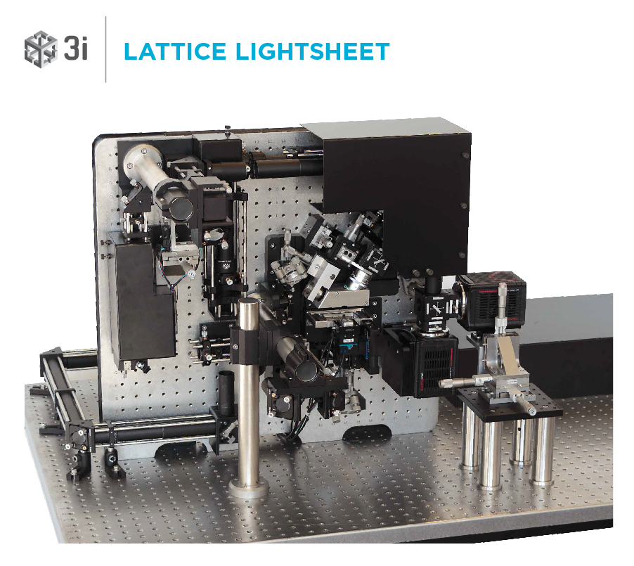 3i 显微镜 有图有真相系列之晶格光片超分辨显微镜 公司新闻 上海仁科生物科技有限公司 丁香通