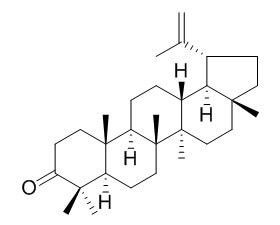 Lupenone 羽扇烯酮  CAS：1617-70-5