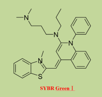 SYBR Green I
