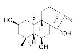 16-Kaurene-2,6,15-triol 16-贝壳杉烯-2,6,15-三醇 CAS:53452-32-7