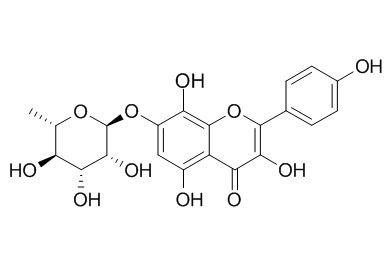 Rhodionin 草质素苷 CAS:85571-15-9