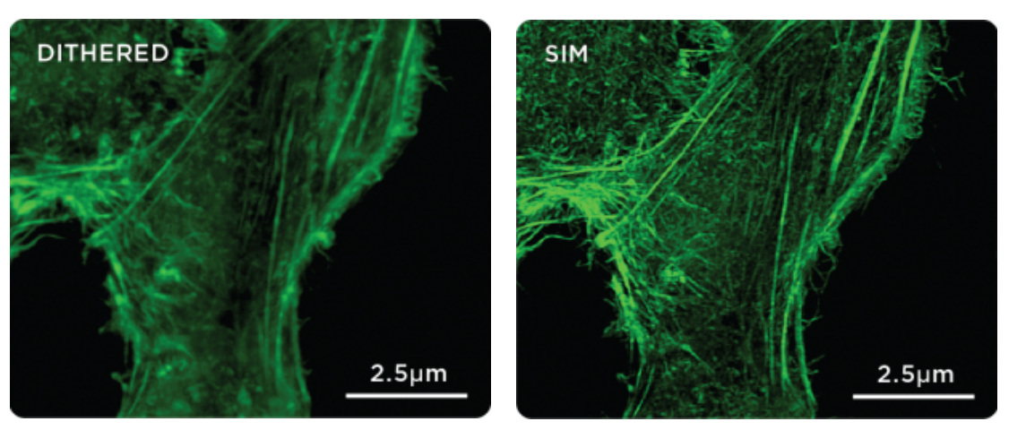 3i 显微镜 有图有真相系列之晶格光片超分辨显微镜 公司新闻 上海仁科生物科技有限公司 丁香通