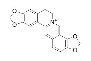 Coptisine  黄连碱 CAS:3486-66-6