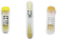 Bacillus psychrophilus =Sporosarcina psychrophila