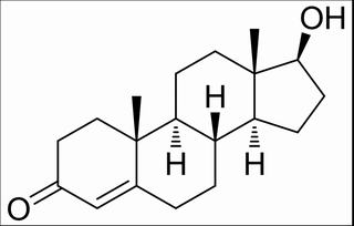 睾酮58-22-0