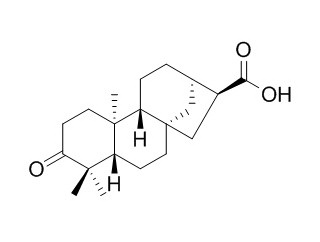 ent-3-Oxokauran-17-oic acid 对映-3-氧代贝壳烯烷-17-酸CAS:151561-88-5