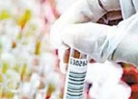 Anti-phospho-Rb/p105-Rb(Ser780)图片