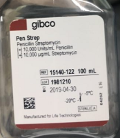 Penicillin-Streptomycin, Liquid