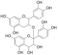 Proanthocyanidins 原花青素 CAS:4852-22-6