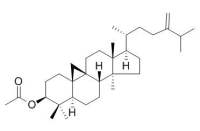 24-Methylenecycloartanol acetate 24-亚甲基环木菠萝烷醇乙酸酯 CAS:1259-94-5