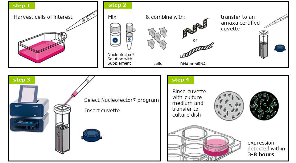 lonza 4D-Nucleofector 细胞核转染系统 核转仪 lonza中国一级代理商北京泽平