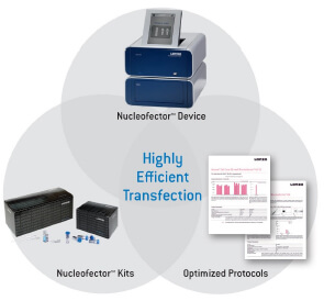 lonza 4D-Nucleofector 细胞核转染系统 核转仪 lonza中国一级代理商北京泽平