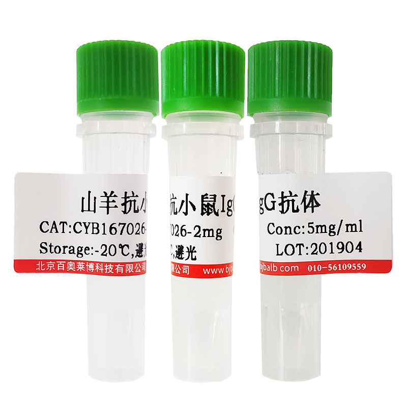 兔抗山羊IgG(H+L)抗体北京供应商