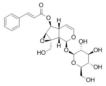 6-O-Cinnamoylcatalpol  6-O-肉桂酰梓醇 CAS:136807-41-5
