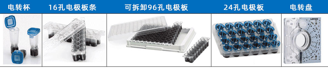 lonza 4D-Nucleofector 细胞核转染系统 核转仪 lonza中国一级代理商北京泽平