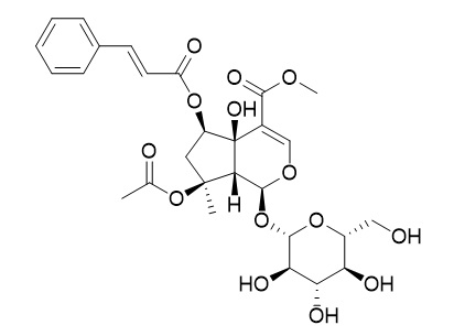 6-O-trans-Cinnamoylphlorigidoside B  CAS:1246012-25-8