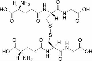 胱胺肽