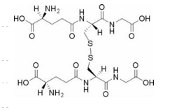 L-Glutathione,Oxidized氧化型谷胱甘肽