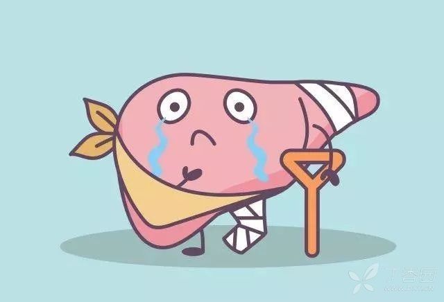 早在数年前,研究人员已经尝试测试cps1在动物急性肝损伤情况下对身体