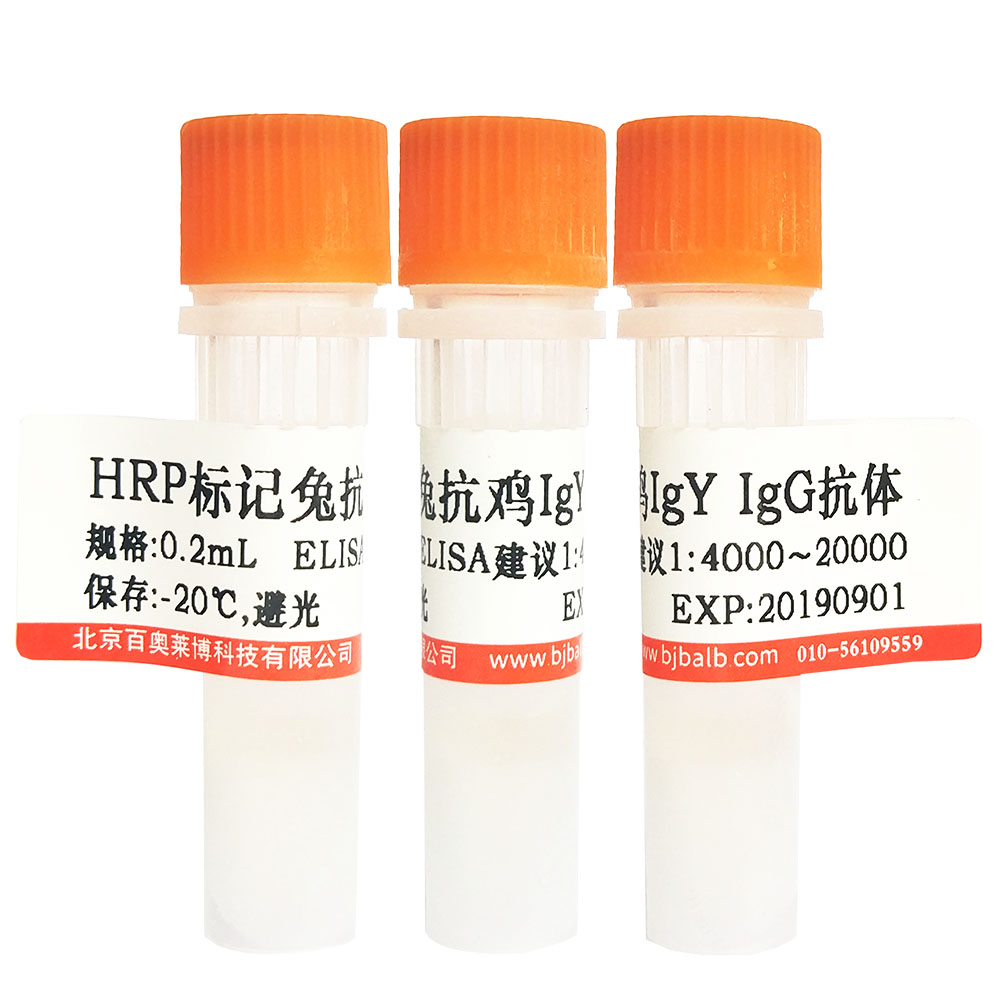 碱性磷酸酶标记山羊抗小鼠IgG(H+L)