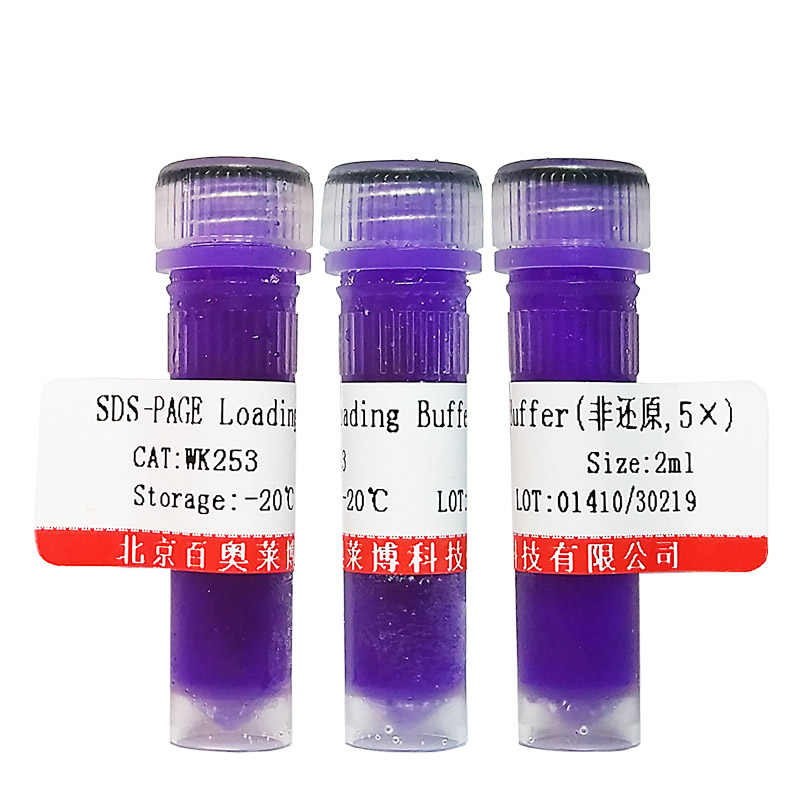 5-羟色胺盐酸盐(153-98-0)(≥98%)