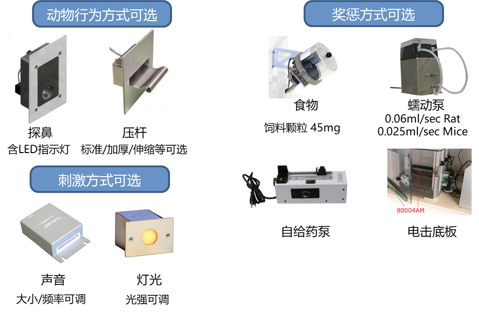 什么是斯金纳箱它应用在什么领域呢