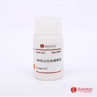 HRP标记抗体稀释液