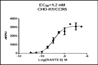 CCR5 (GPCR, Stable cell line, 稳定细胞株)