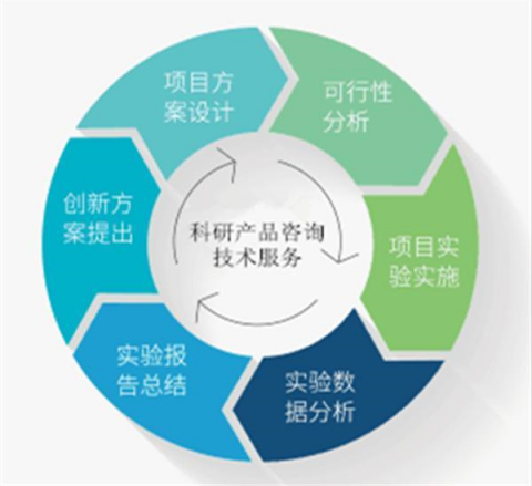 人CD8a分子(CD8a)ELISA试剂盒