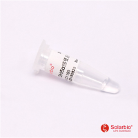 DH5α受体菌 大肠杆菌