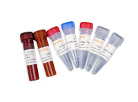 一步法RT-qPCR探针试剂盒 Hifair® Ⅲ One Step RT-qPCR Probe