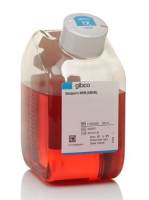 Glasgow's MEM (GMEM) 11710035